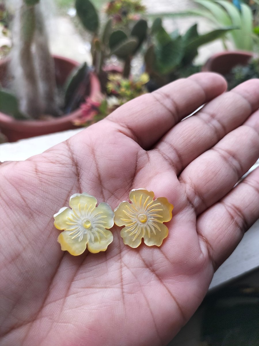shellworksph's tweet image. Pretty little earrings carved from yellow Mother of Pearls&apos; shell.

#shellcraft #shellcraftsupplier #handicraft #artsandcrafts #supportlocal #shellaccessories #fashionaccessories #earrings