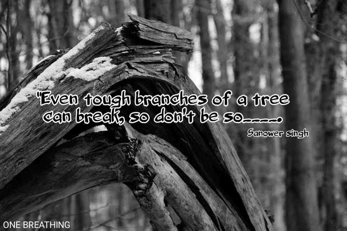 Sanower_singh's tweet photo. "Even tough branches of a tree can break, so don't be so____."
@o_n_eBreathing @Sanower_singh  
#onebreathing #onebreathinginspirationalhouse #onebreathingpodcast #sanowersingh #speakersingh #thoughtoftheday #quoteoftheday #goodthoughts #goodquotes #InspirationalQuotes https://t.co/LNpsm7ulPb