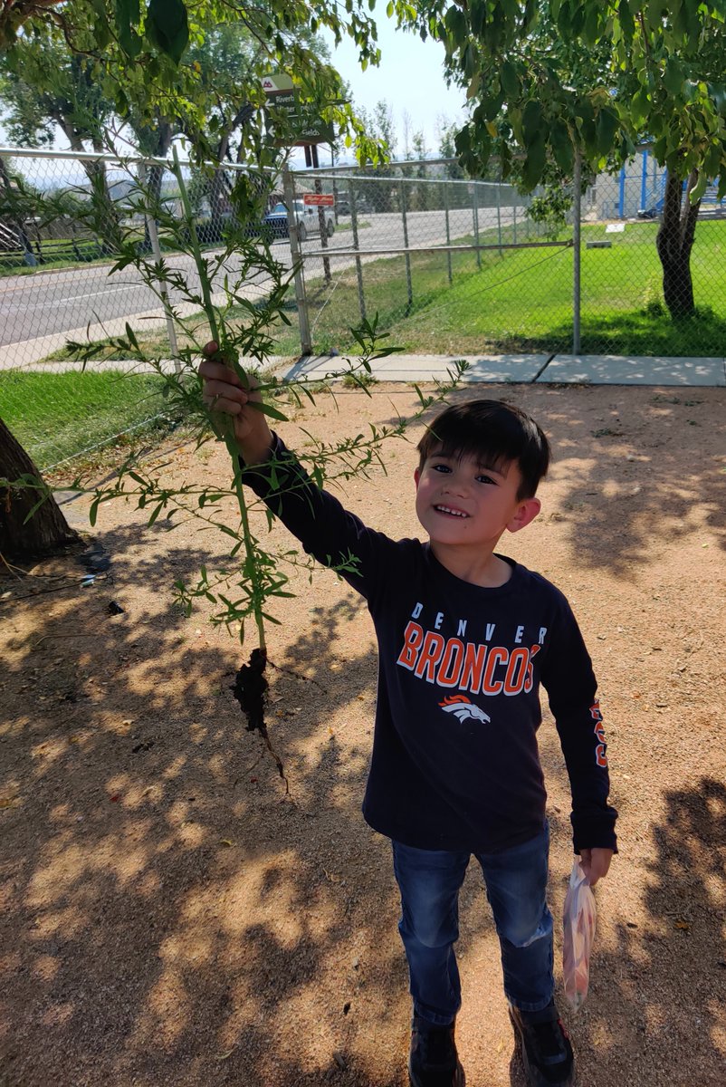 MrdPrograms's tweet photo. We love our garden! We hope you enjoy the pictures we will be sharing!

#kidsnutrition #getoutside #nrpa #garden #kidsgardening #recdistrict https://t.co/WW5Y9815Fh