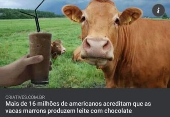 shitpostagemm's tweet photo. Esse pessoal acredita em muita coisa estranha kkkkk https://t.co/VYK4yI9PGS