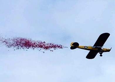 BlabyDC's tweet image. To honour Remembrance Day, there will be parades taking place across the District on 14 November in both Cosby and Enderby. 

@TheVictoryShow_ will be dropping 50,000 poppies over Cosby village at midday.

Our Narborough offices will also light up in red as we pay our respects.