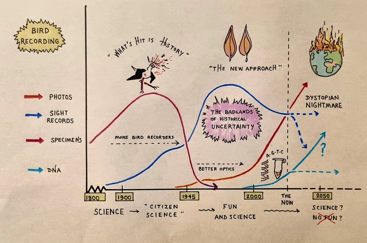 Rarity assessment over time. Specimens to sight records, to photos and DNA. What will future generations make of records in the Badlands period supported only by descriptions? Will DNA take the fun out of birding? Drew this for the Bernard Tucker Memorial Lecture <a href="/britishbirds/">British Birds</a>