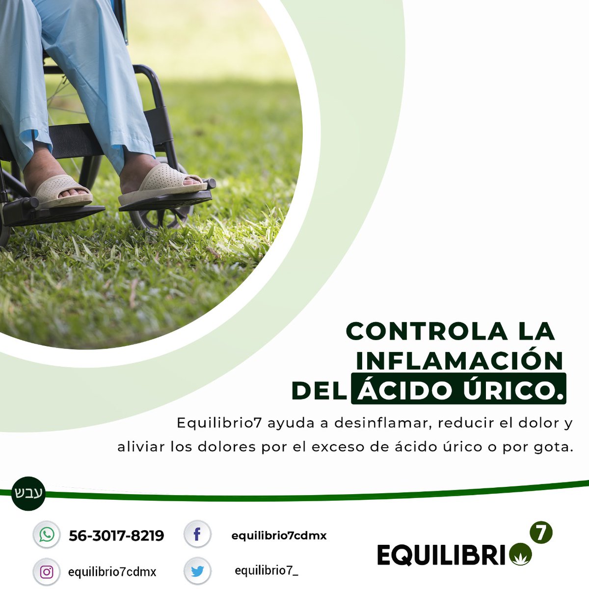 cbdequilibrio7's tweet photo. ¡Nuestra misión es tu bienestar!

#Equilibrio7 #cbdequilibrio7 #cbdmexicoequilibrio7 #cbdqueretaro #cbdmanzanillo #cbdaguascalientes #cbdcelaya #cbdcuernavaca #cbdculiacán #cbdmonterrey #cbdtijuana #cbdtepic #cbdcolima #cbdmexicali #CBDoaxaca #cbdciudaddemexico #cbdmedicinal https://t.co/T4aOTcrKwb