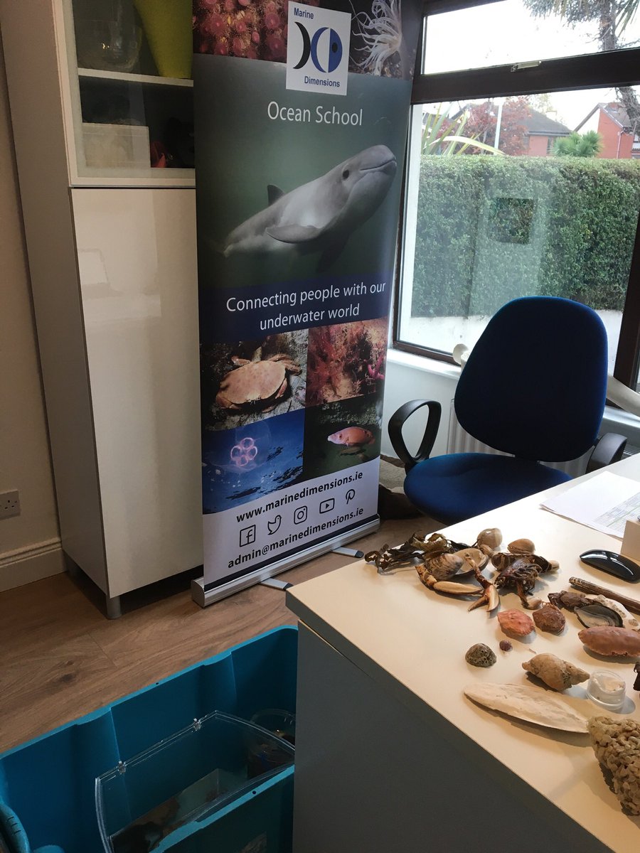 marinedimension's tweet photo. Thanks to all students and teachers in St Ciarans Mixed NS, Boher for taking part in the Marine Experience with us today as part of the Midlands Science Festival #midlandsscience #scienceweek https://t.co/Uk10oXQMxP