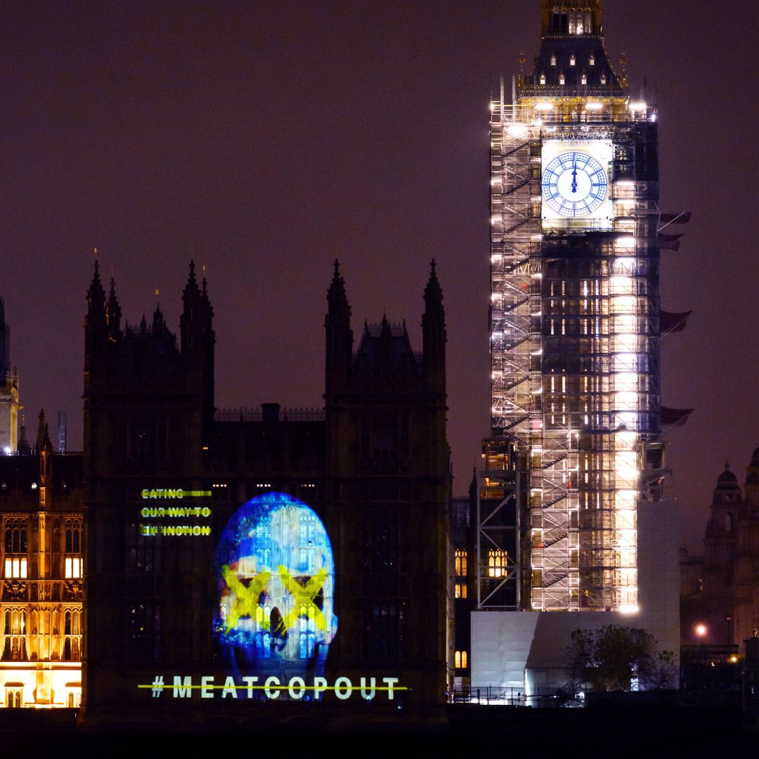 EatingOur's tweet photo. We are now 9 days into #cop26, yet there is a serious lack of debate relating to the reduction of global meat production which would make a huge impact toward saving the planet.

No more hiding the truth. Share this post to help spread the word.

#meatcopout #eating2extinction https://t.co/q7M6beZTyx