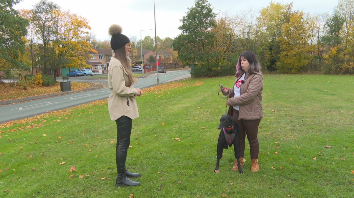 This is Tiger, a 6yr old rescue greyhound. He died on Friday, Bonfire Night, from a suspected heart attack caused by fireworks. Today his heartbroken owner Kayleigh told me she wants fireworks confined to organised displays only. I’ve got your top story on <a href="/ITVCentral/">ITV News Central</a> at 6 📺