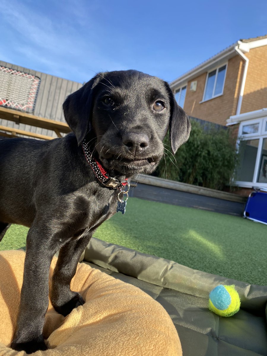 everyones meet my news brother❤️#ZSHQ