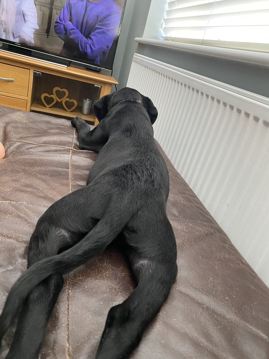 HettyMilly's tweet photo. everyones meet my news brother❤️#ZSHQ https://t.co/gdTQGsYkLo