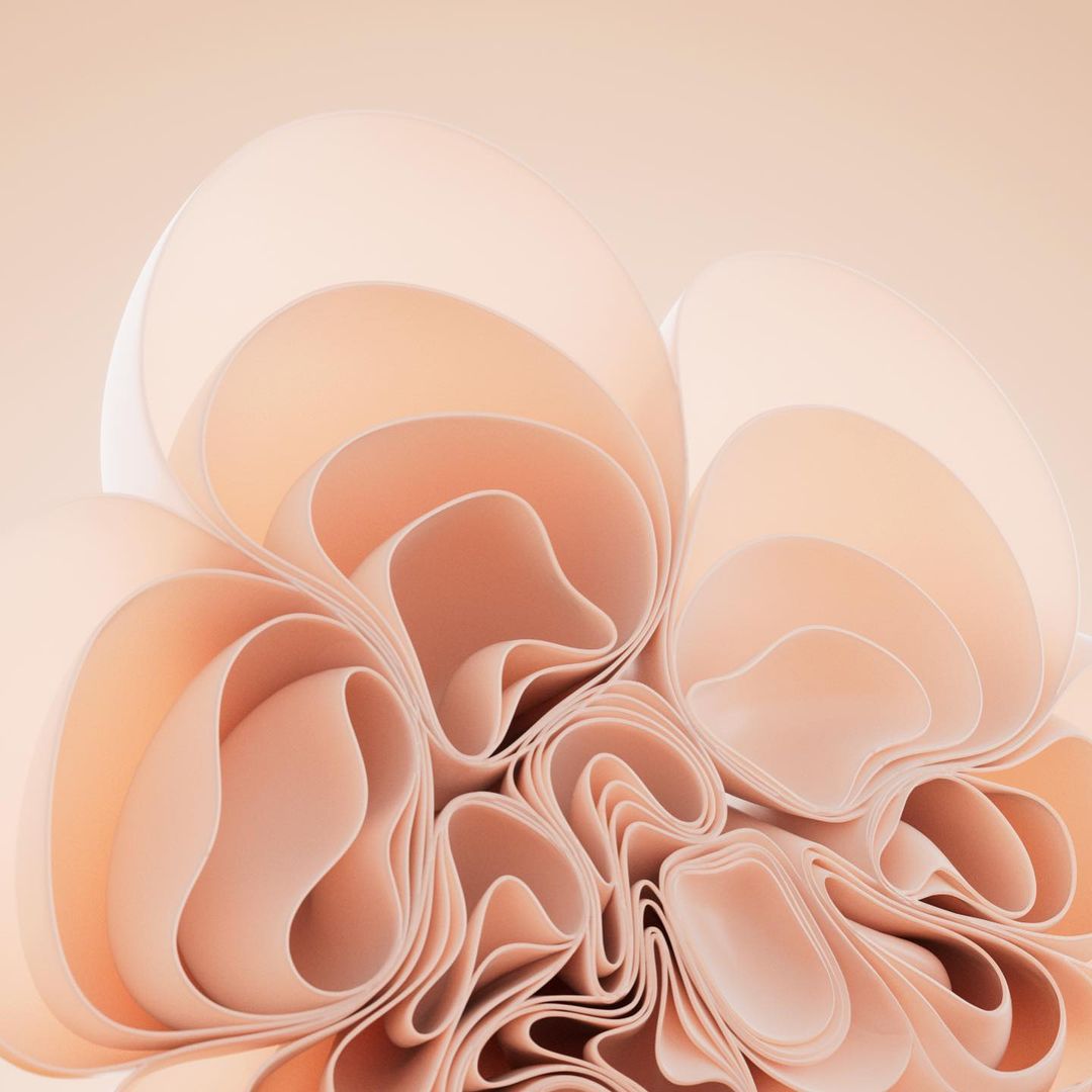 FireCubeStudios's tweet image. Windows 11 SE has 20+ new hot wallpapers ranging from blooms to landscapes
Here is the download link for all of them in high quality: 1drv.ms/u/s!AqF4nVwjZ8…
#Windows11 #Windows11SE