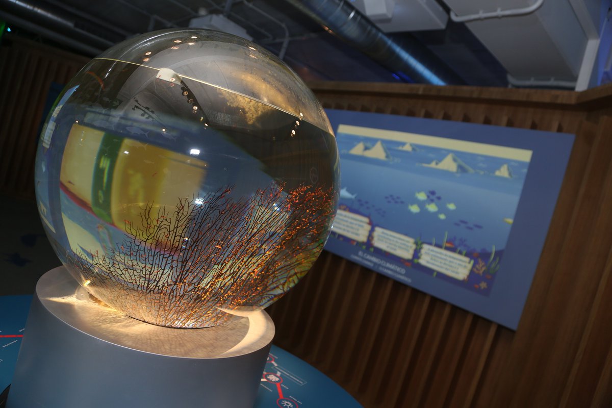 PescanovaCorp's tweet photo. Gracias a todas las personas que nos acompañasteis ayer en la inauguración del #PescanovaBiomarineCenter, nuestro centro de I+D+i en acuicultura que, además, alberga un museo divulgativo para concienciar sobre la importancia de cuidar los ecosistemas marinos @pescanova_es https://t.co/rNnabv1rUO