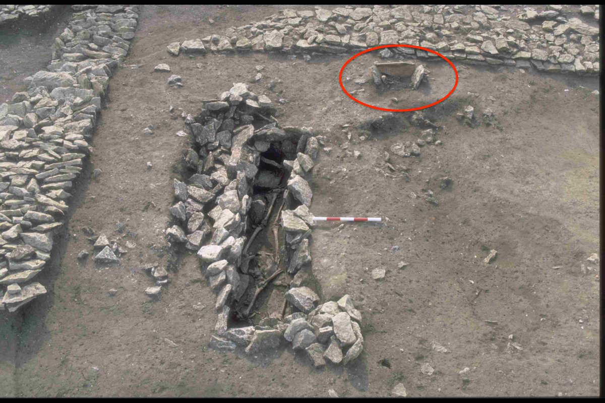 Robin Fleming tweet media