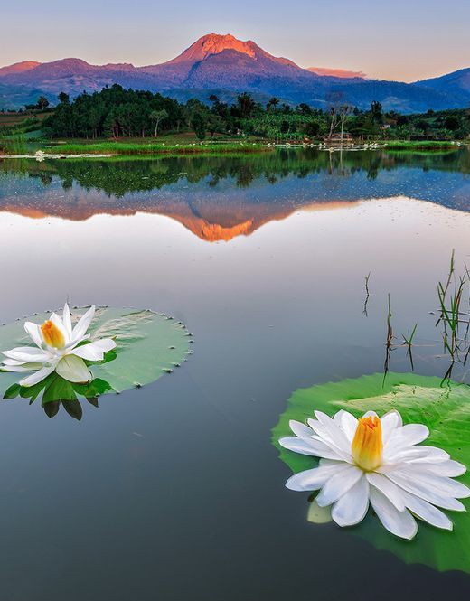 MARY_ESMAEELI's tweet photo. ✍
A wise person is one who tolerates people.

#HazratAbdulAzim #nature #qoutes https://t.co/NygqyS1kGO