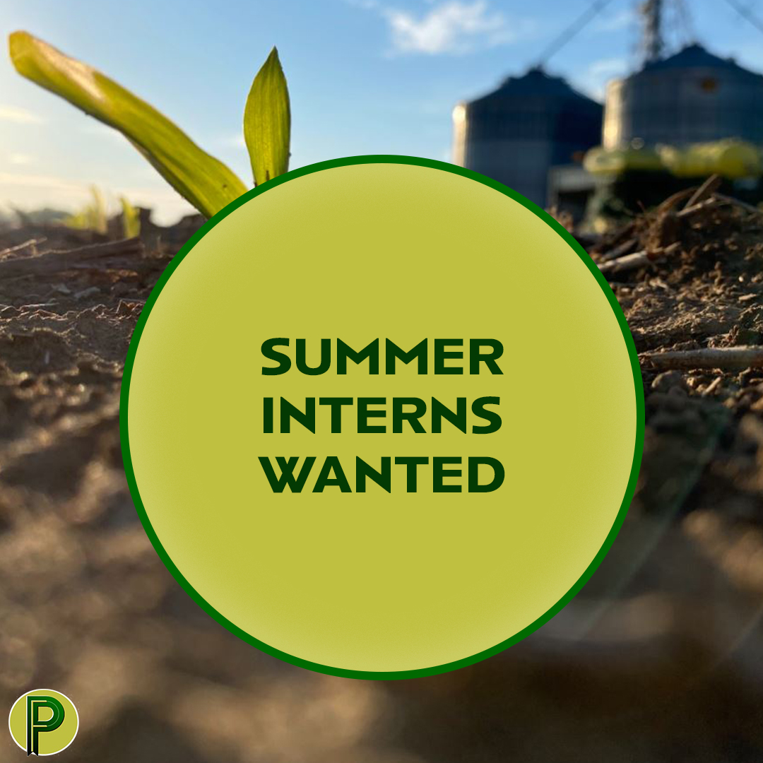 PetersonFarmsKY's tweet photo. Peterson Farms is looking for Summer Interns! We hire both Agronomy and Operations Interns to work in our Loretto location!
Email CaseyC@peterson-farms.com OR visit our website at https://t.co/pbzPDoPAYQ
#summerintern #agintern #kyag365 https://t.co/TZfm3bC3s3