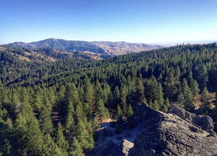 BroncoSportXCTF's tweet photo. We're coming โฌ๏ธ to the wire on #TrailTuesday...
An 8โฃ-mile trail above 5โฃ,0โฃ0โฃ0โฃ feet, ๐๐๐ธโ๐ โ๐โ๐ is a very popular and well-maintained trail. Runners are rewarded at the trailโs peak with stunning views of the entire Treasure Valley.
#BleedBlue #RunBoise https://t.co/WMdK9UlUh8