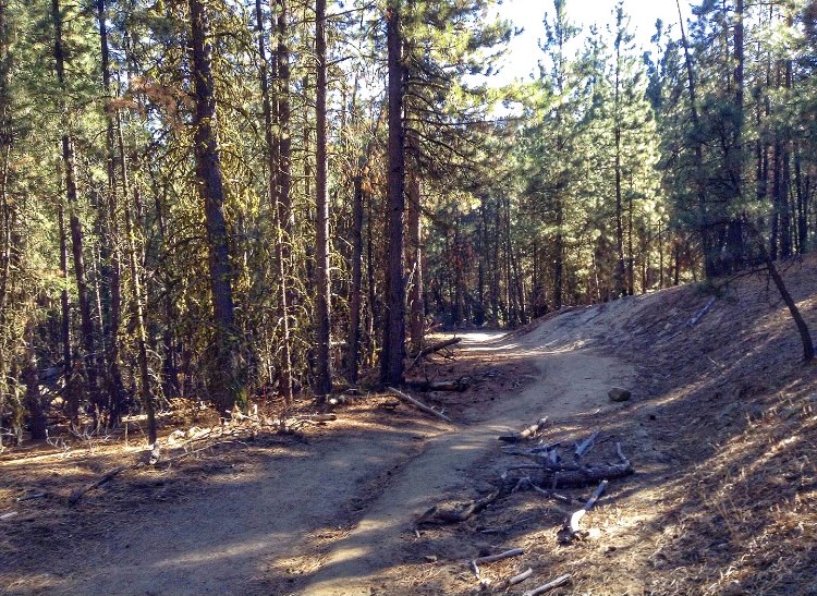 BroncoSportXCTF's tweet photo. We're coming โฌ๏ธ to the wire on #TrailTuesday...
An 8โฃ-mile trail above 5โฃ,0โฃ0โฃ0โฃ feet, ๐๐๐ธโ๐ โ๐โ๐ is a very popular and well-maintained trail. Runners are rewarded at the trailโs peak with stunning views of the entire Treasure Valley.
#BleedBlue #RunBoise https://t.co/WMdK9UlUh8