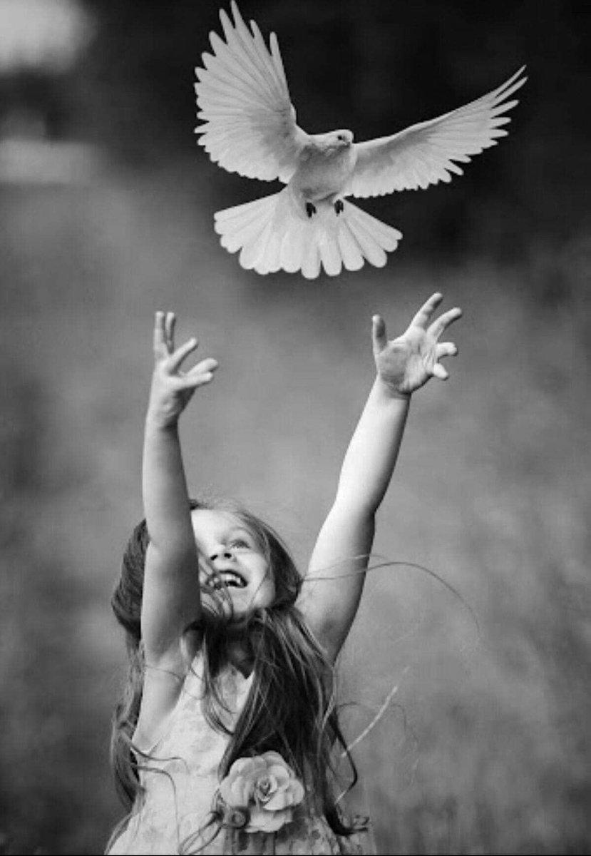 greenone786's tweet photo. La libertà non consiste tanto nel fare la propria volontà quanto nel non essere sottomessi a quella altrui. 

Jean-Jacques Rousseau

#aforismi #frasi #CasaLettori #Filosofia https://t.co/hyokzMZsCx