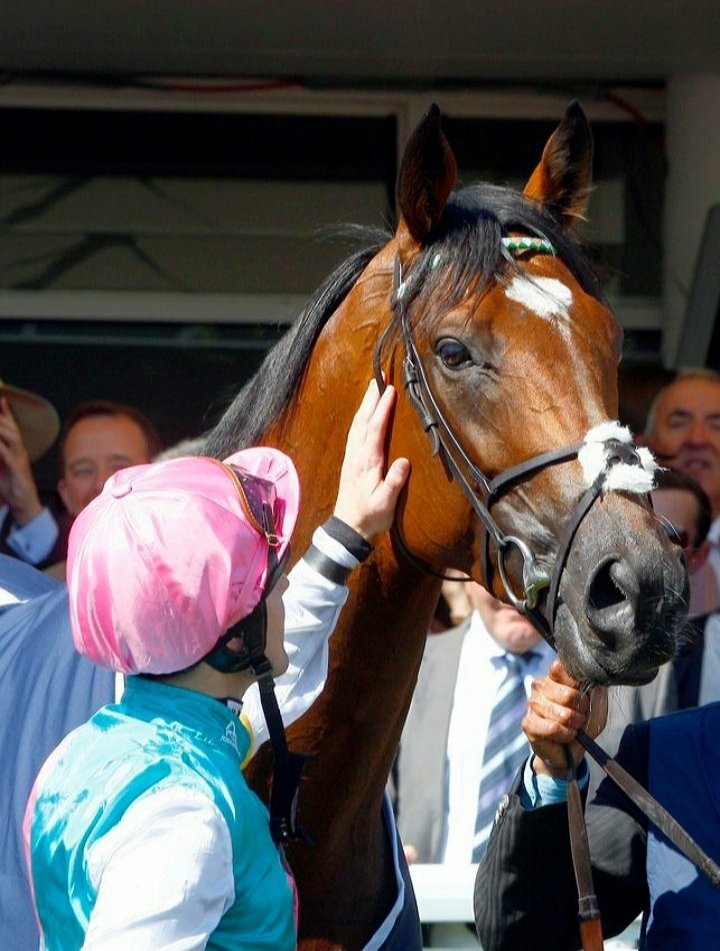 frankel247's tweet photo. https://t.co/A84LZAzBM6
