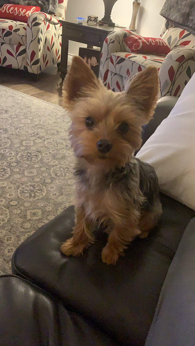 Jeanne Tobin tweet media