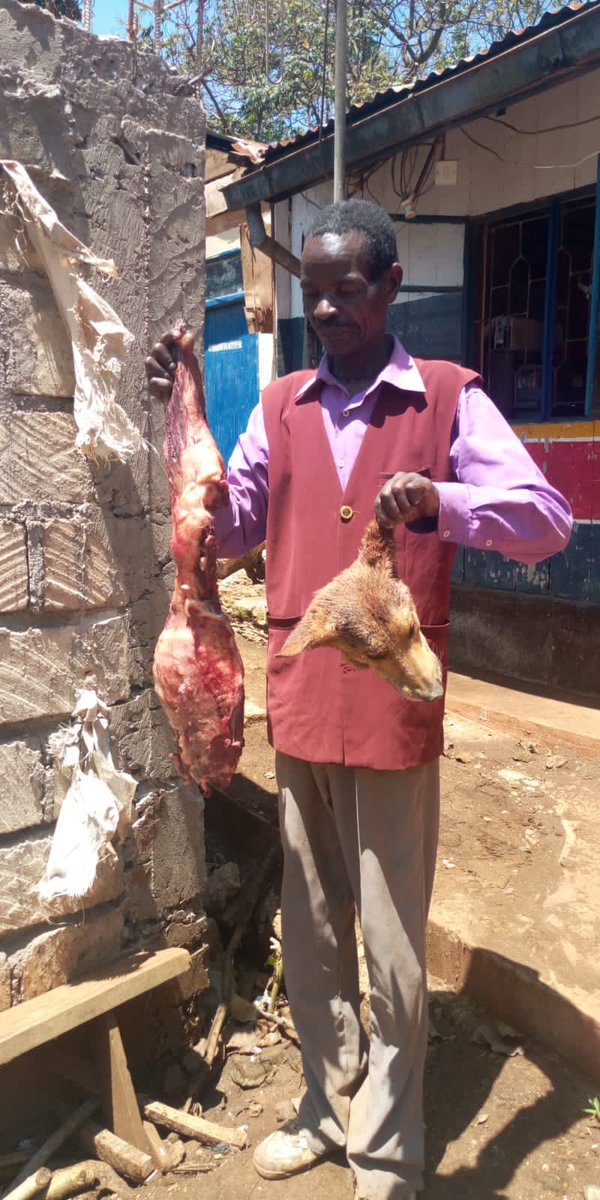 DjNgwati's tweet photo. Watu wa miguu na supu ya kichwa mko wapy https://t.co/83mwuuAJ9y