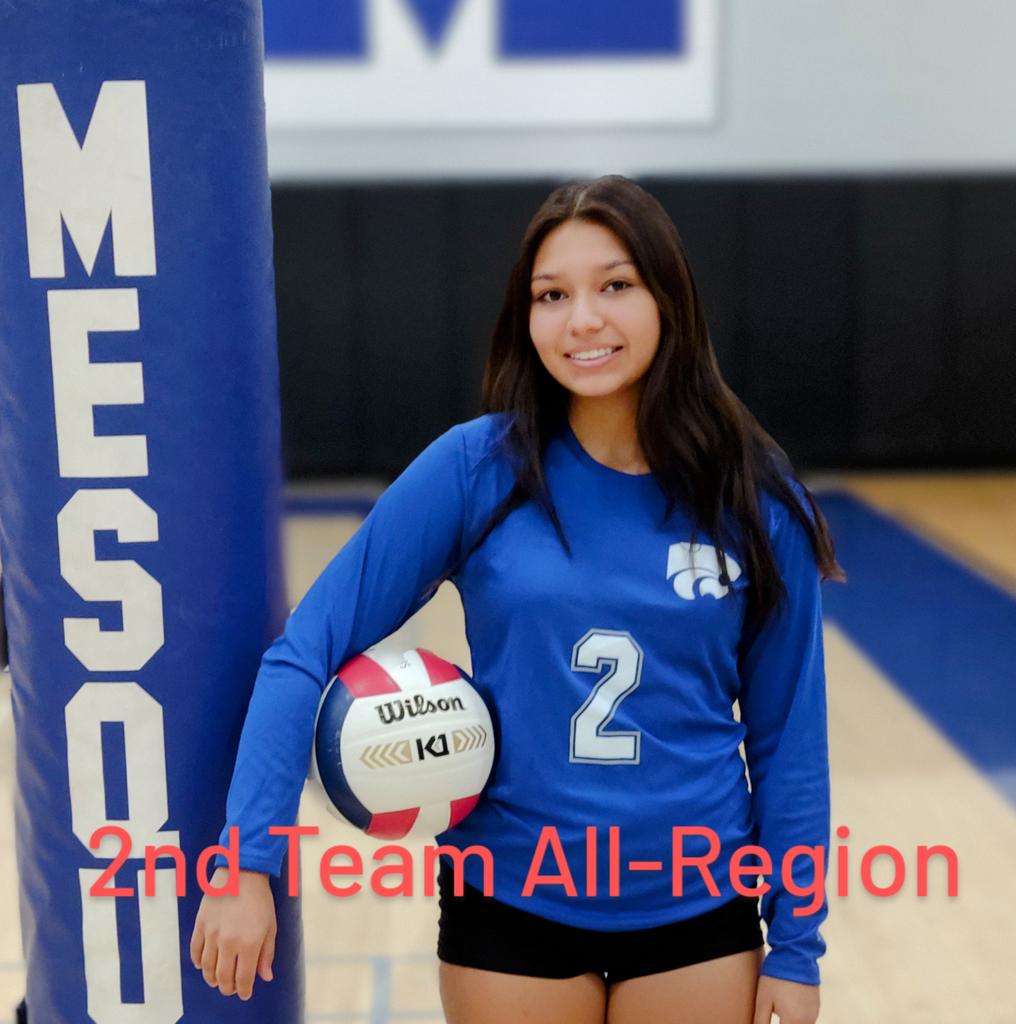 Congratulations <a href="/ava95856335/">ava</a> 2nd Team All Region!!