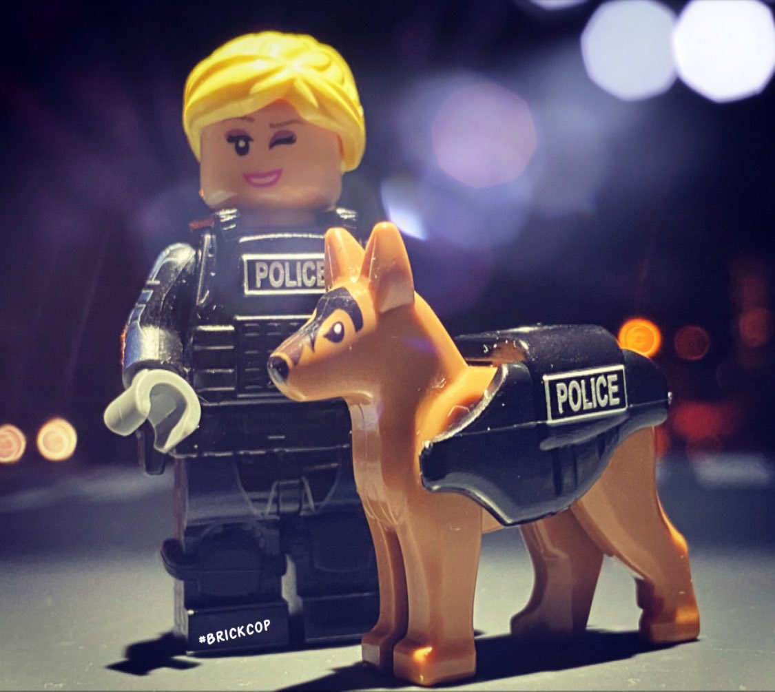 Brick_Cop's tweet photo. Yes, to answer literally every DM on here and on Insta, PD Handlers and PDs are more than possible 😂💯🐕
#dogsoftwitter #ThinBlueLine #tuesdaymotivations #Glasgow #COP26 #BrickCop26 #Lego #Custom #PoliceDogs 🐕🏴💯🚨 https://t.co/bOfixz4N3W