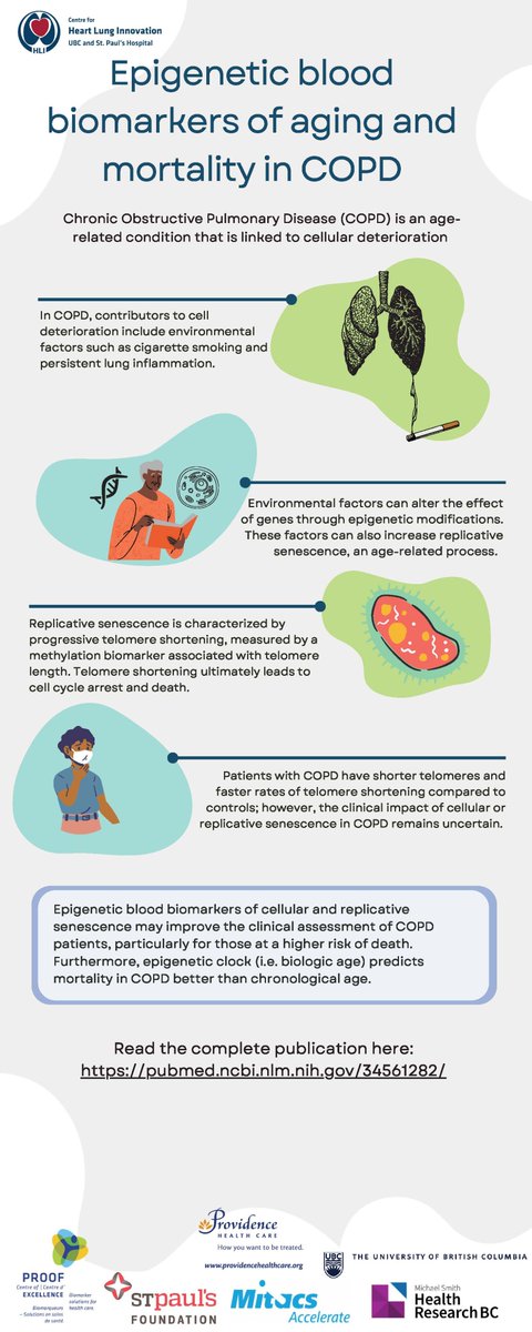 HLI at St Paul's tweet media