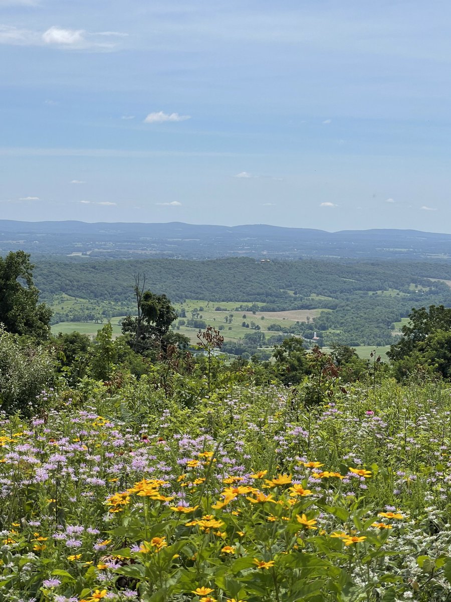“Is this how our story is due to end? 

“A tale of the smartest species doomed by that all too human characteristic of failing to see the bigger picture in pursuit of short term goals?”

—Sir David Attenborough, COP26