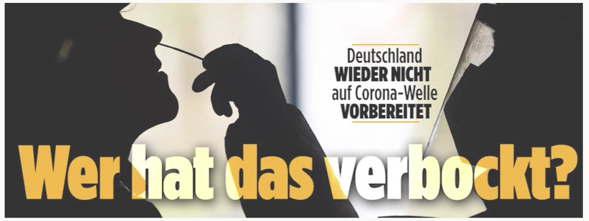 Wer das verbockt hat? Das kann ich Euch sagen: Schaut in Eurer Redaktions-Toilette einfach mal in den Spiegel. Da seht Ihr ein paar von den Leuten, die durch ihr ständiges Gehetze und Gezündel mit zu dieser Katastrophe beigetragen haben, Ihr Scheinheiligen von der #Bild.