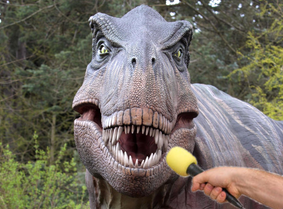 - Quién es su portero favorito?
- T-Rex tegen.