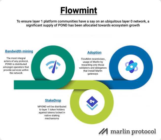 SiddiqiTahira's tweet photo. Did you know What is Flowmint โ๏ธ
@MarlinProtocol is a high-performance #Layer0 infrastructure for modern, decentralized networks.
$POND #DeFI #decentralized #ALTSEASON #Cryptos #Mrlin #CryptocurrencyNews https://t.co/bza4d7iSzh