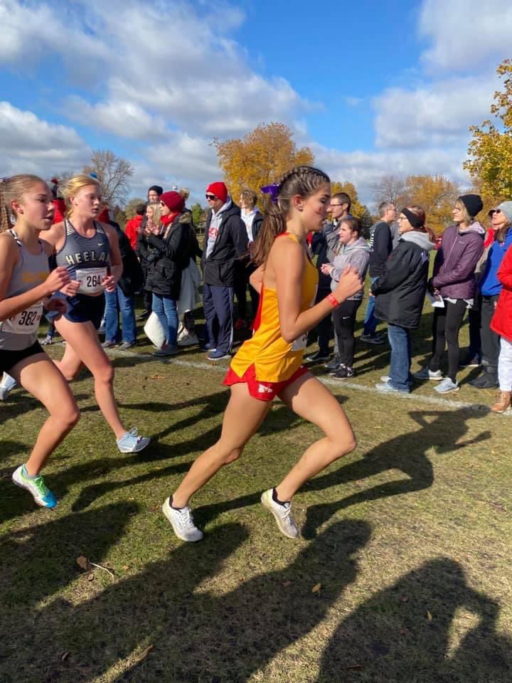 Peyton Steffen tweet media