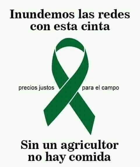 TurismoAbaurrea tweet media