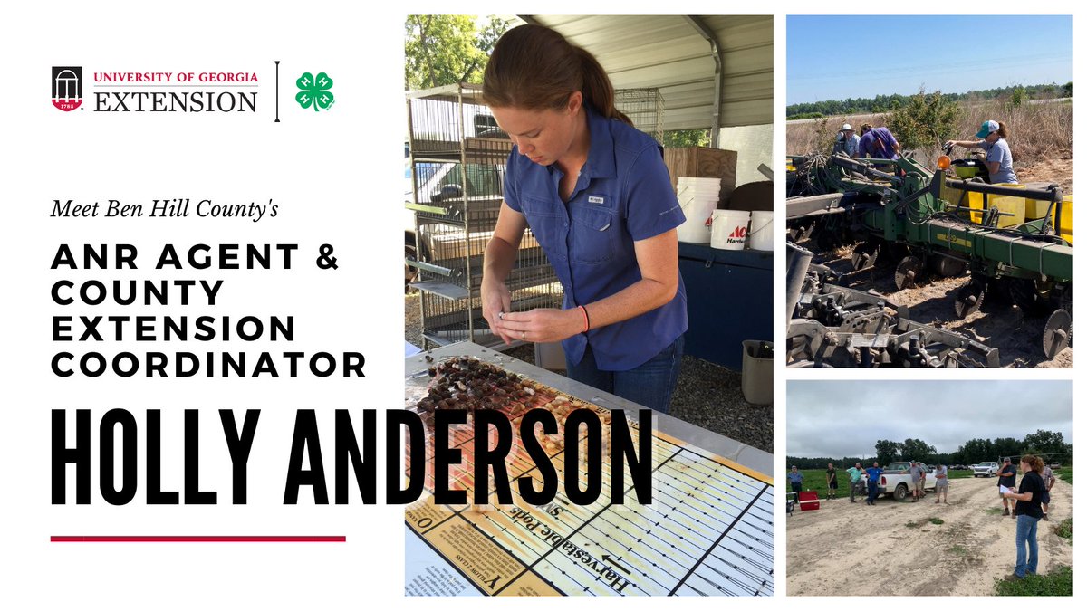 'I love being part of the #landgrantuniversity and educating adults and kids alike about agriculture.' - Holly Anderson, ANR Agent and County Extension Coordinator for Ben Hill County

When she's not working her client's fields, Holly works her family's small farm with her kids.