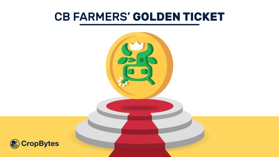 CropBytes's tweet photo. ⭐️A golden ticket for all CB farmers ⭐️

You have a special access ticket waiting in your inbox, an opportunity to get CBX rewards.  🤞

Check your registered email ID or push notifications to know what it is.😉

PS: Rewards from 15k CBX pool, up for grabs🎁

#CBX #CropBytes https://t.co/TTcgykMce8