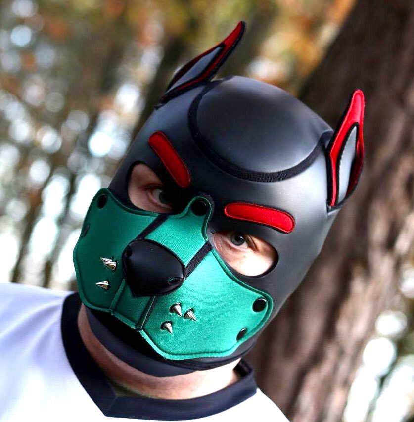 pupp_arlo (@pupp_arlo) on Twitter photo 