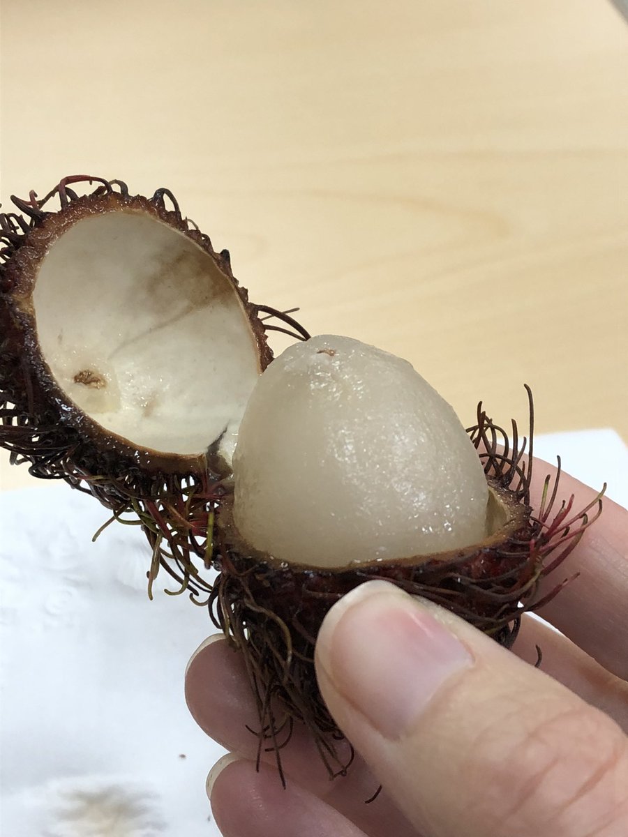 Carolyn Bracksieck tweet media