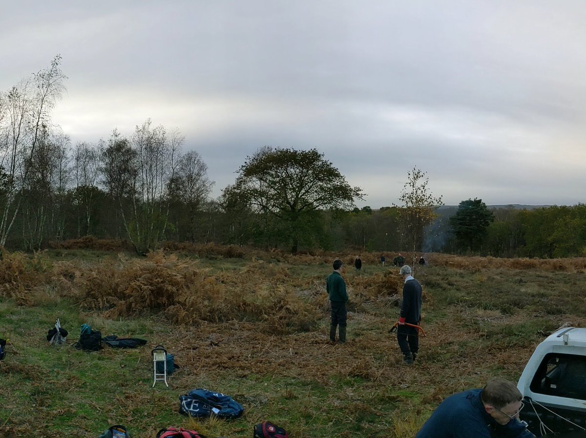 LucasParham94's tweet photo. Beautiful day at rodborough common clearing silver birch to help restore an area back to its natural species rich grassland state 💪 nice fire to keep us all warm too 🔥👌 https://t.co/3KIfWZRmWk
