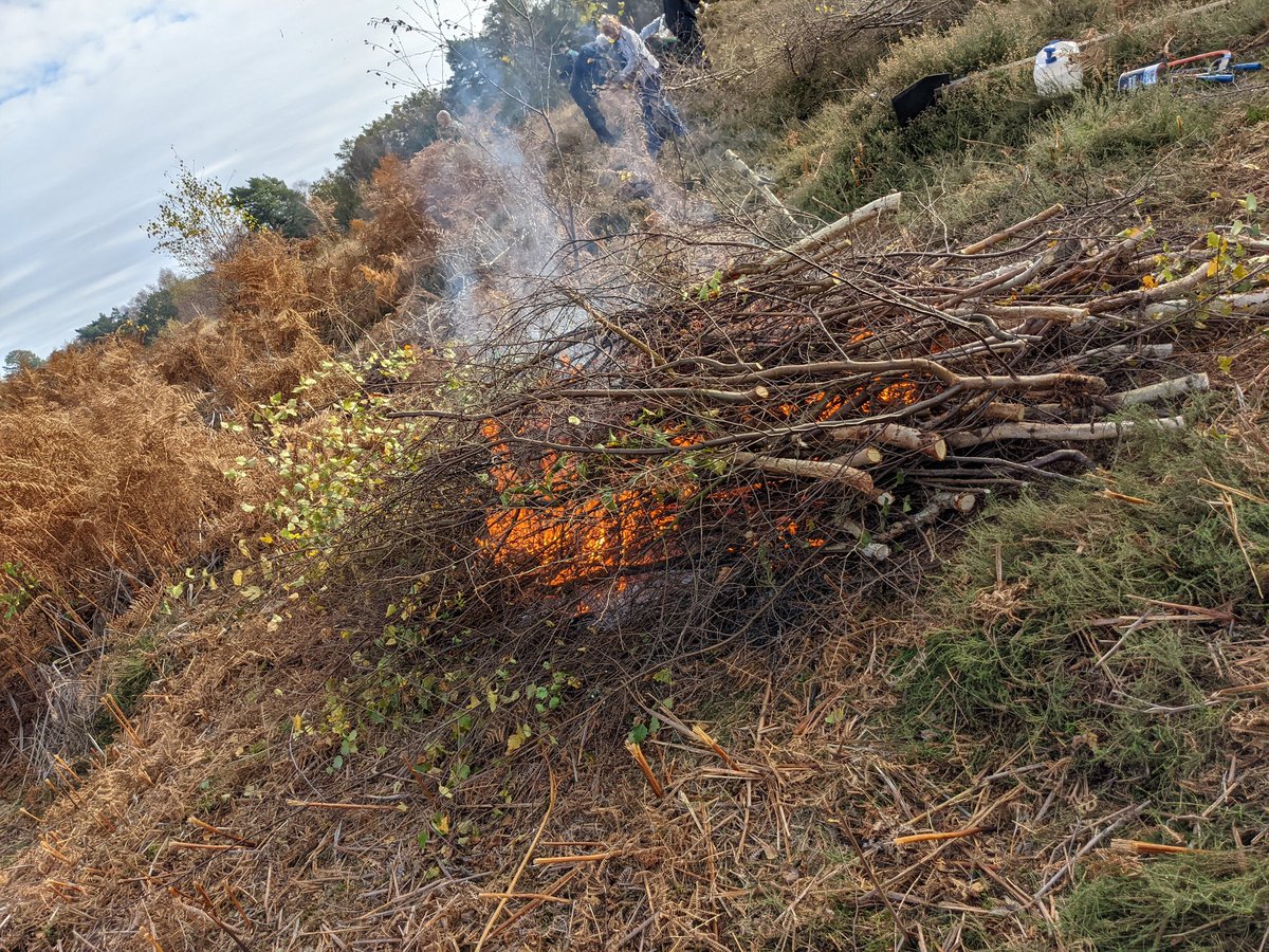 LucasParham94's tweet photo. Beautiful day at rodborough common clearing silver birch to help restore an area back to its natural species rich grassland state 💪 nice fire to keep us all warm too 🔥👌 https://t.co/3KIfWZRmWk