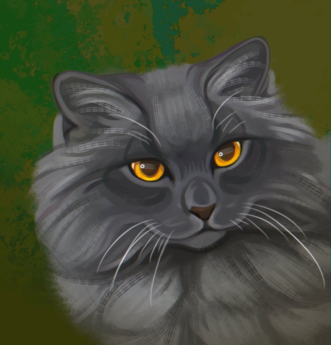 featherwhisker for #wcotw <a href="/theclandom/">The Clandom</a> 
one of my faves!