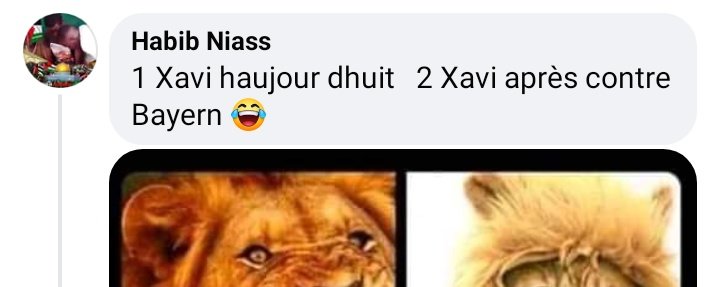 LCorrecteurAuto's tweet image. Une minute de silence pour la langue française.