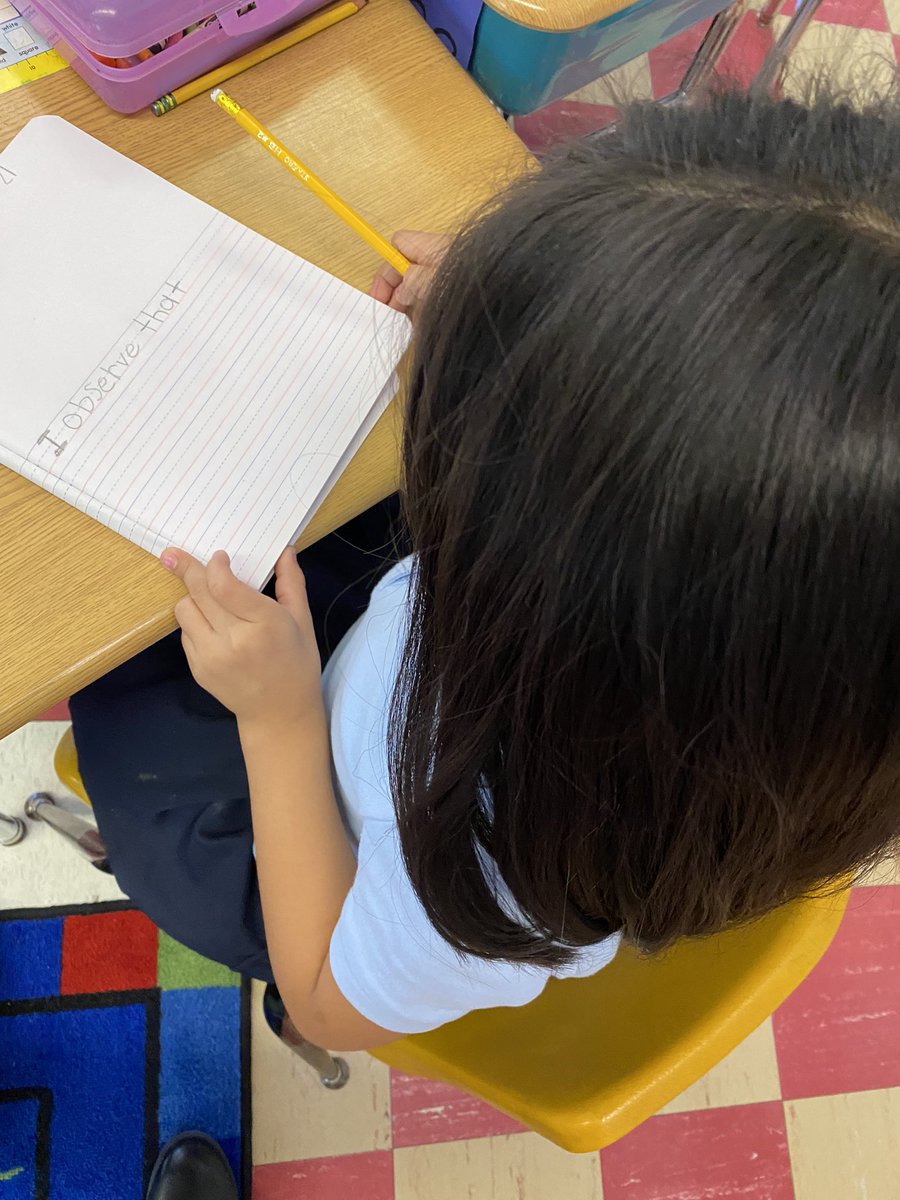 1st Grade scientist making observations