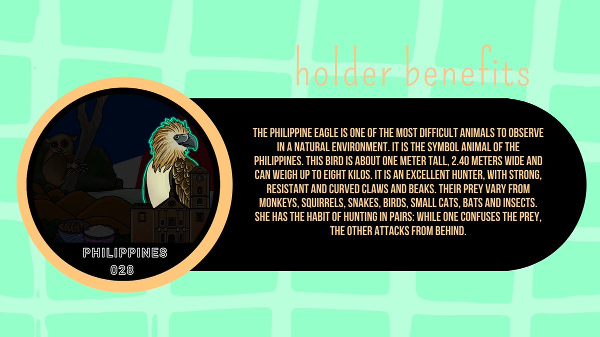 Cardano Countries tweet media