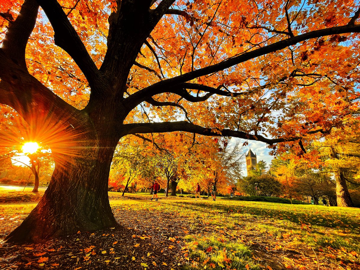 The #IowaState campus takes golden hour to another level. 🍂😍