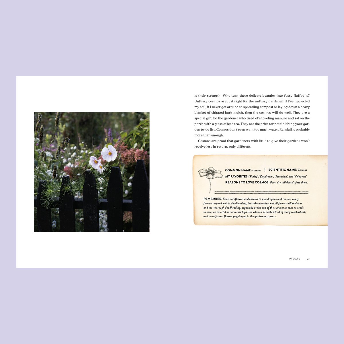 Faceout Studio tweet media