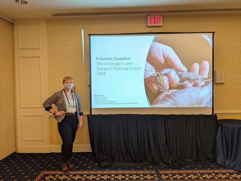 WildGenomics's tweet photo. We had two great talks today at the American Fisheries Society meeting! Ph.D. student Andrew Johnson presented a genomic analysis of walleye stocking in Appalachia and M.S. student Mary Akers presented a genetic evaluation of lake sturgeon stocking. @AmFisheriesSoc https://t.co/6yDFbHSgWE