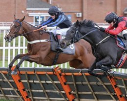 TheHorsesMout15's tweet image. The horse on the left is our new addition to The Horses Mouth Racing Club. He is a 6 year old called Killane and is trained by @donaldmccain #TheHorsesMouthRacingClub #DonaldMcCain