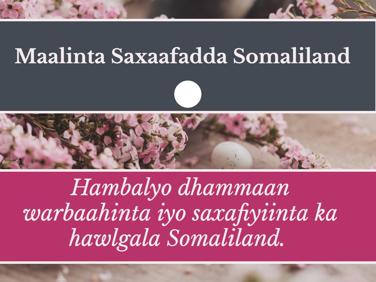 BBCMASomali's tweet photo. https://t.co/K3fxJwv5Ps