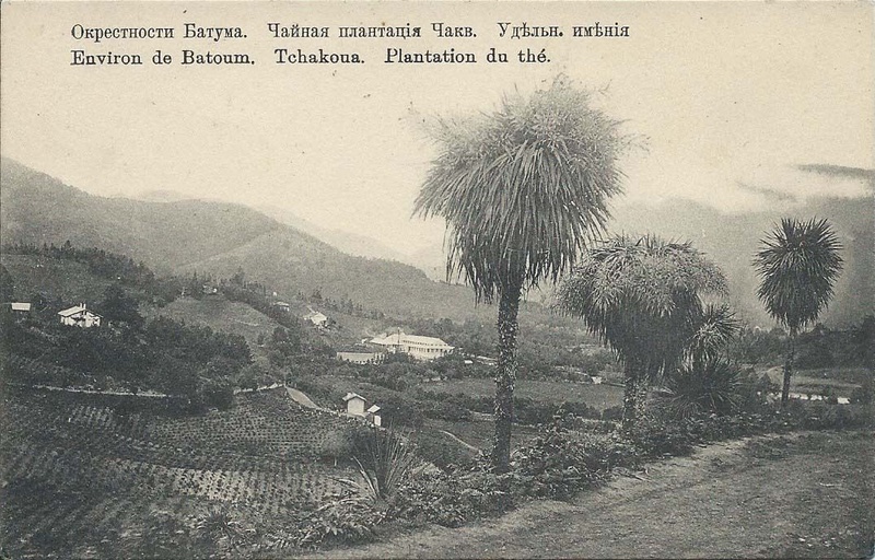 OPolianichev's tweet image. The contract is signed, so now it’s official: starting next year, I'll be working on the project “Tropics of Tsardom: Plants and Empire in the South Caucasus,” an environmental history of the tsarist society’s longing for the tropical world, funded by #RiksbankensJubileumsfond.