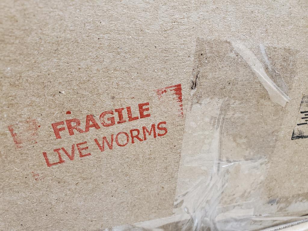 Exciting things are happening at Suzuki...