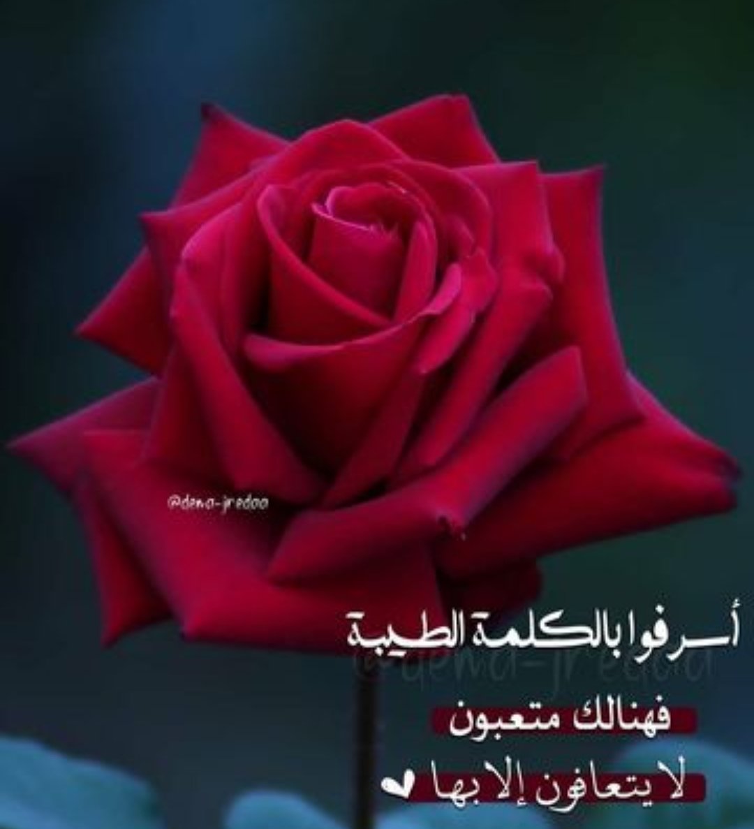 Allah_rabee1's tweet photo. والكلمة الطيبة صدقـة
بح لأهلك واقاربك بها
فلك بها اجر 💛🌧️🌸 https://t.co/4NzwluYyz6